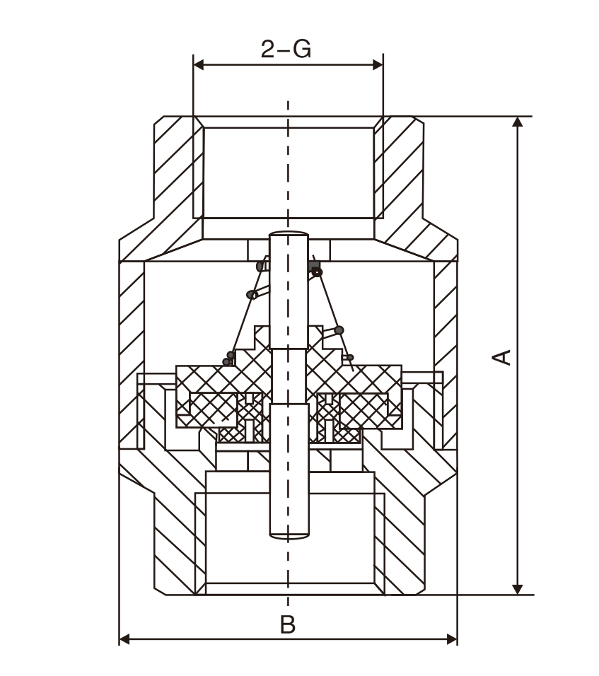 黃銅(tóng)立式止(zhǐ)回閥(圖(tú)1)