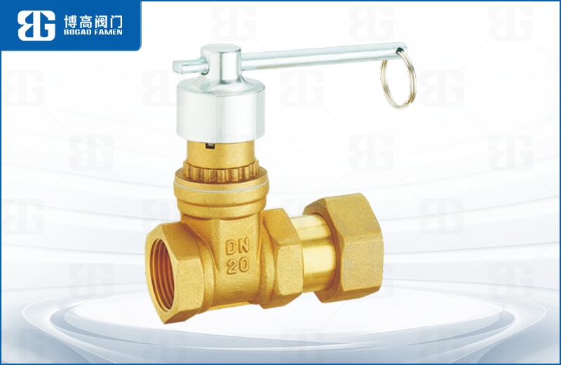 磁性鎖閉活(huó)接止回閘閥(fa)